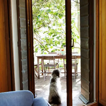 Casa Il Sarperi In 度假居 蒙泰卡蒂尼瓦尔迪切奇纳